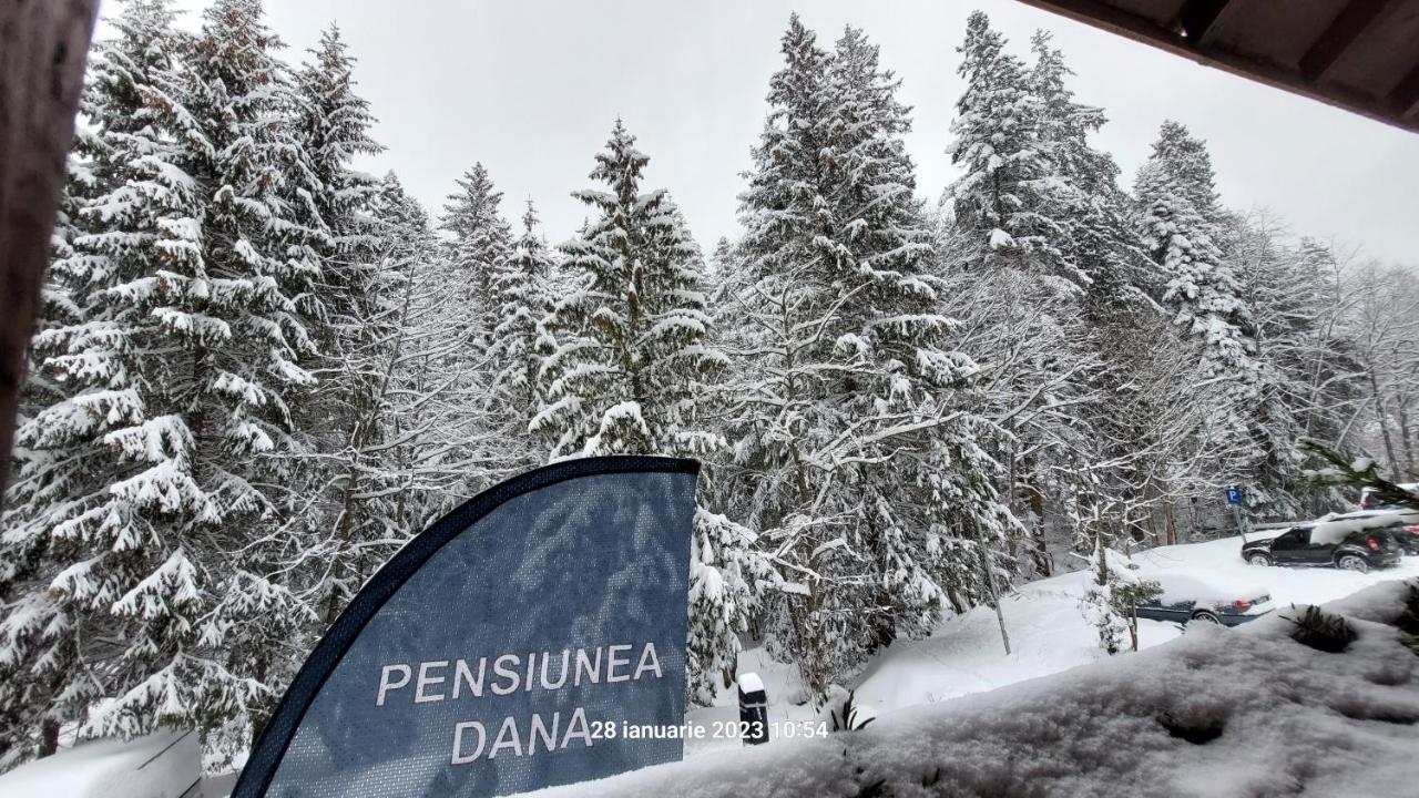 Pensiunea Dana Predeal Exterior foto